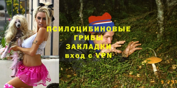 мяу мяу мука Ачинск