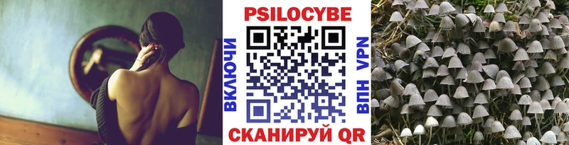 Галлюциногенные грибы Psilocybe  Куса 